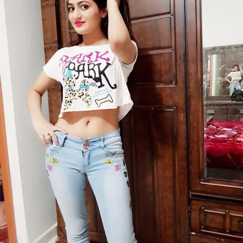 Udaipur Call Girl service